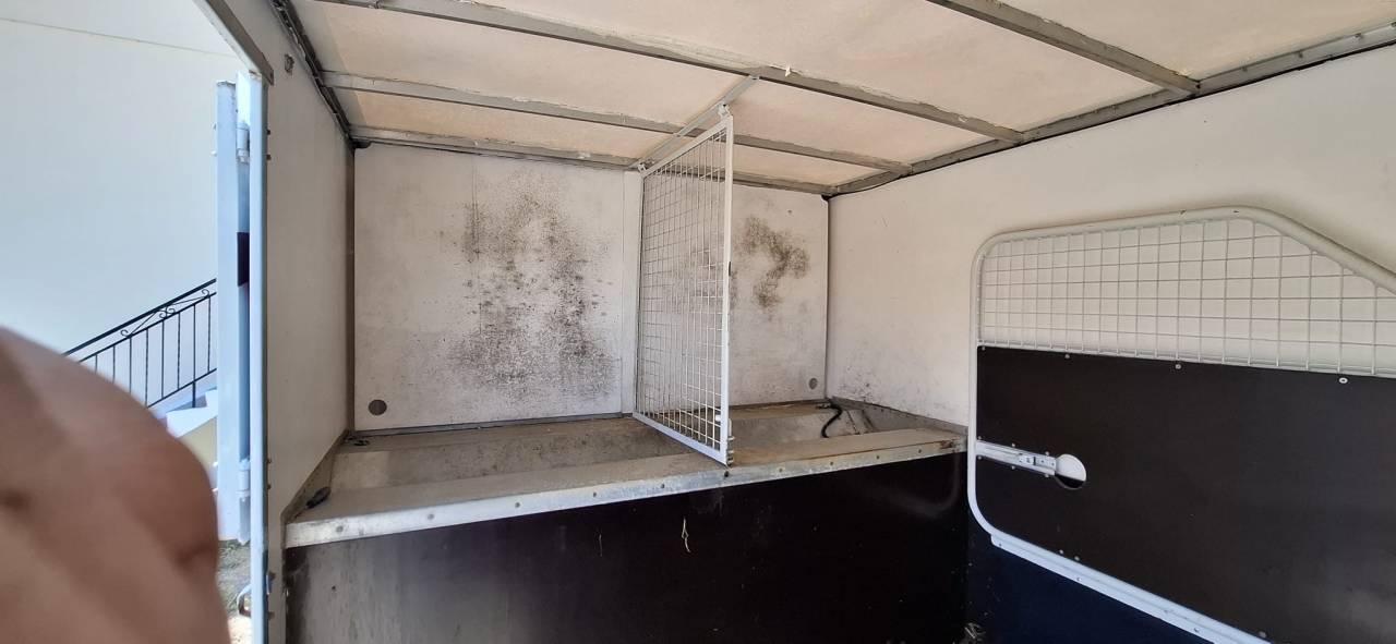 Horsebox HGV Renault Master 2008 Used