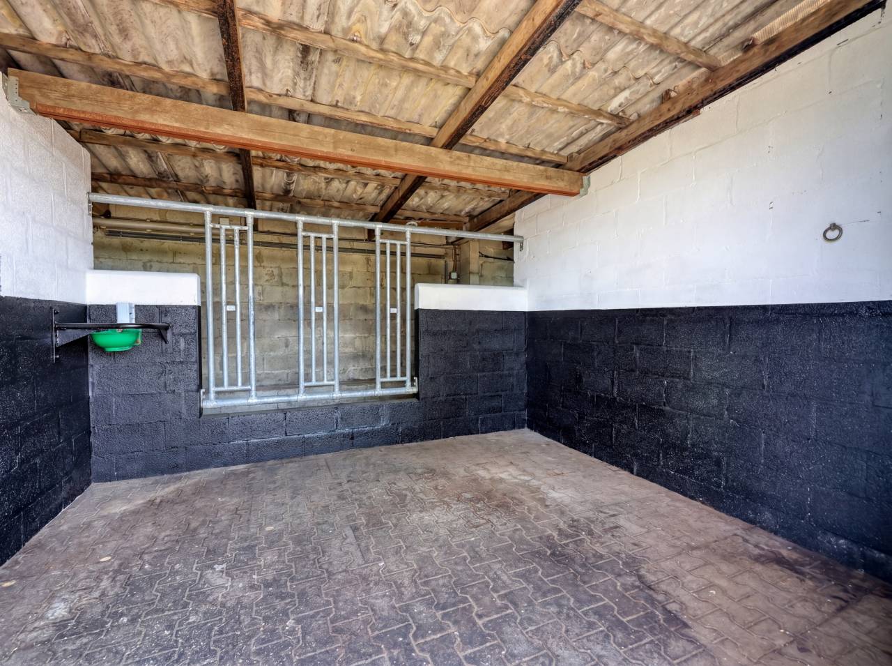 Equestrian property  Luxembourg belge