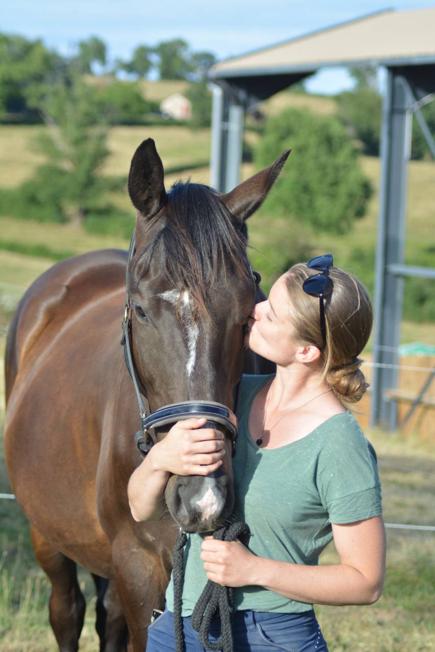 Gelding English Thoroughbred For sale 2021 Dark Bay