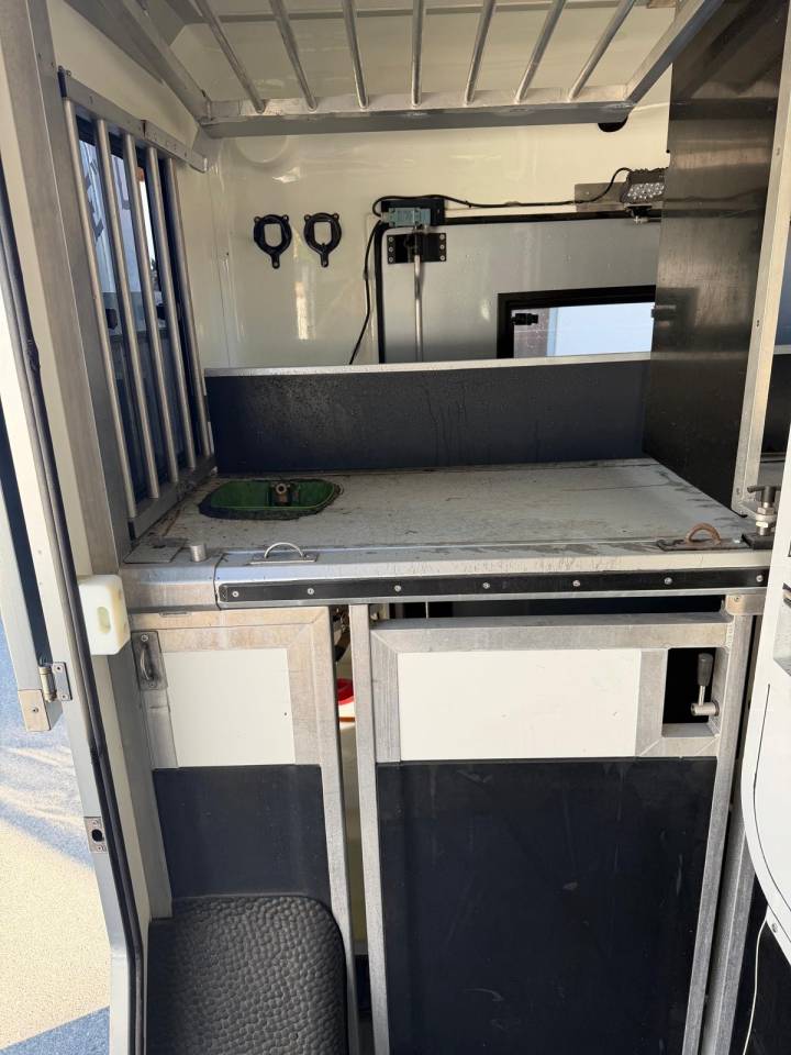 Horsebox HGV Renault Master 2017 Used