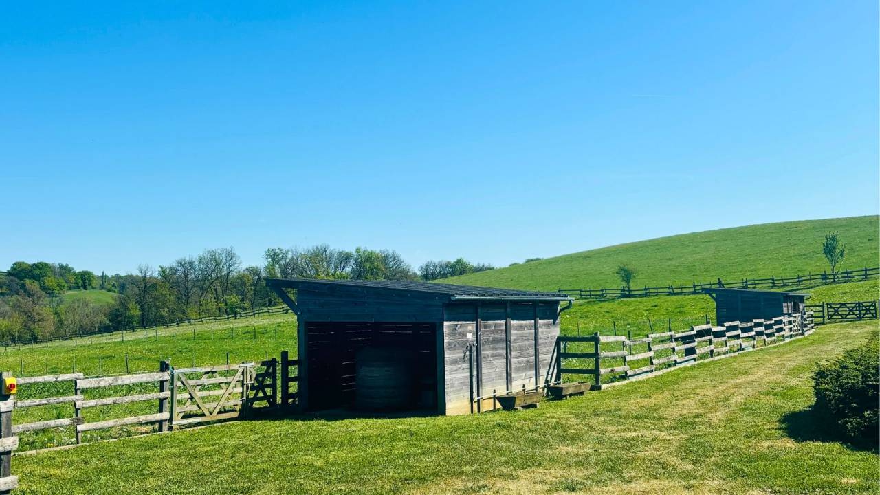 Equestrian property  Lot