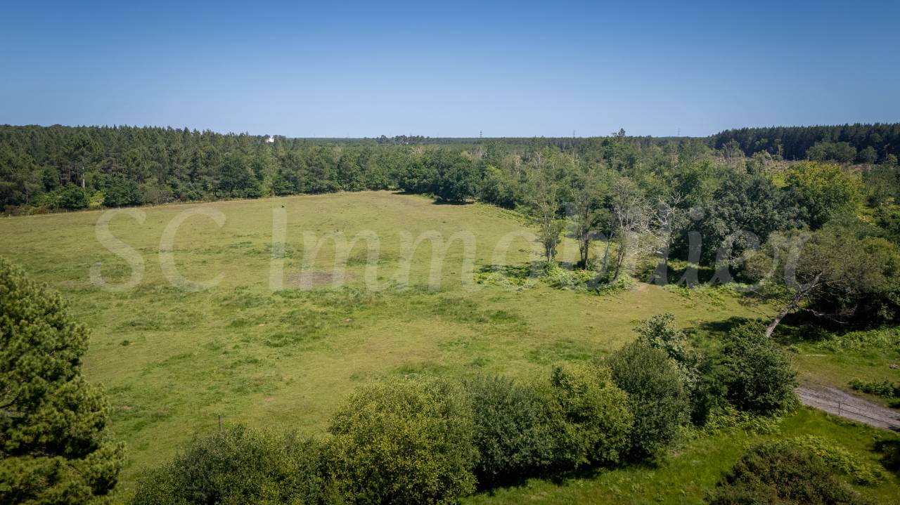 Luxurious equestrian property  Gironde