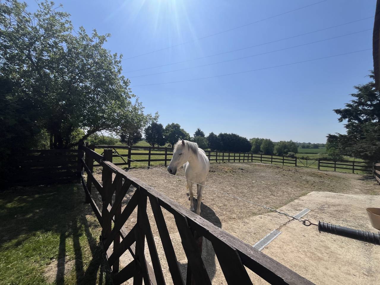 Luxurious equestrian property  Sarthe