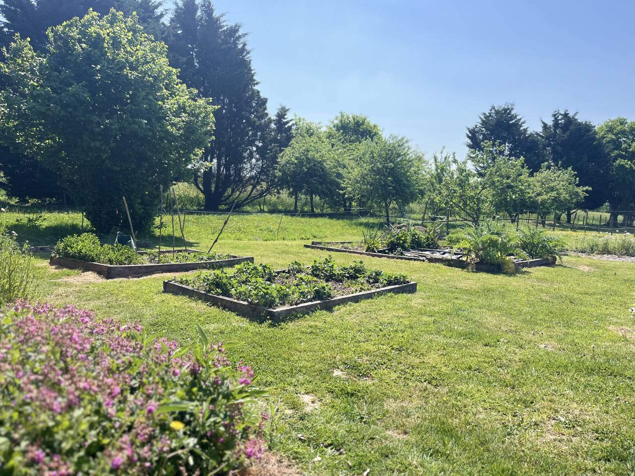 Luxurious equestrian property  Sarthe