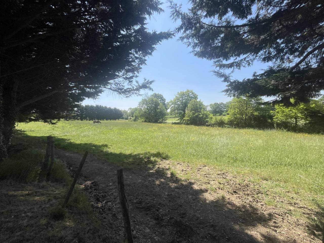 Luxurious equestrian property  Sarthe
