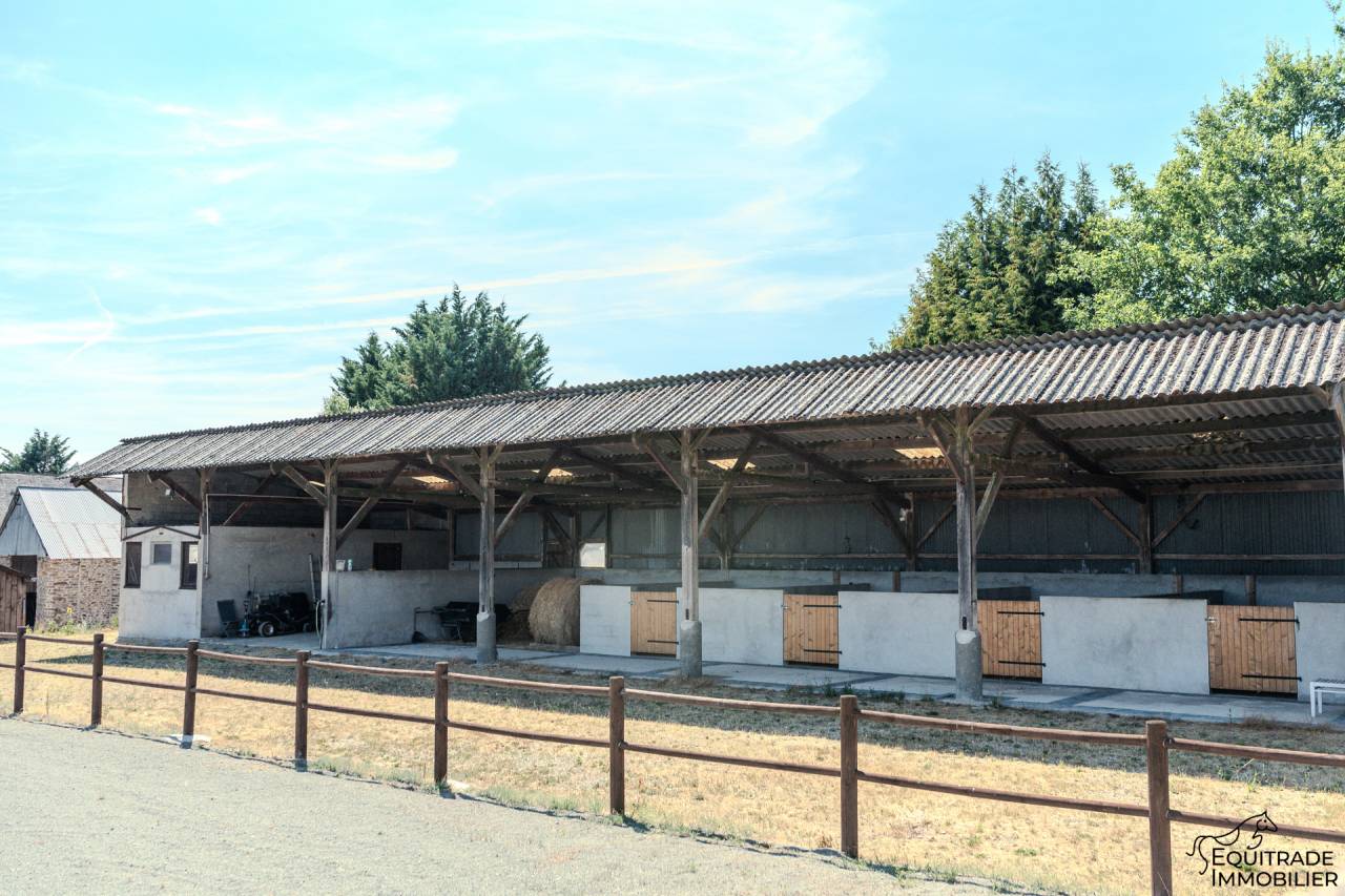 Luxurious equestrian property  Sarthe