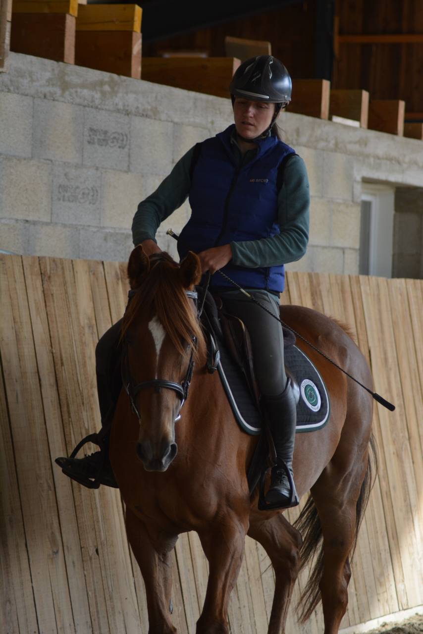 Mare English Thoroughbred For sale 2021 Chesnut