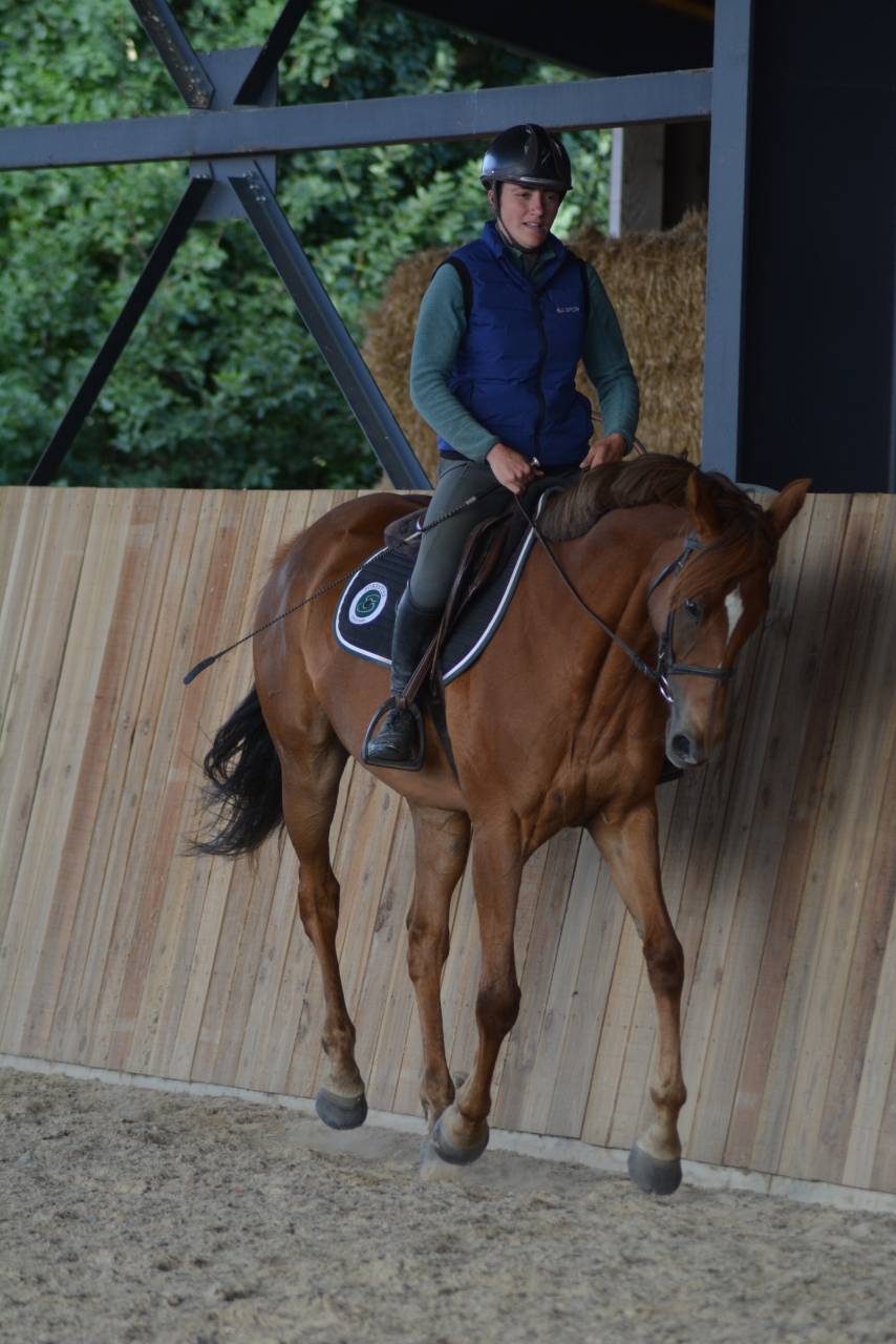 Mare English Thoroughbred For sale 2021 Chesnut