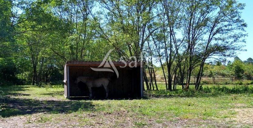 Equestrian property  Gironde