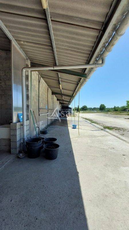 Equestrian property  Gironde
