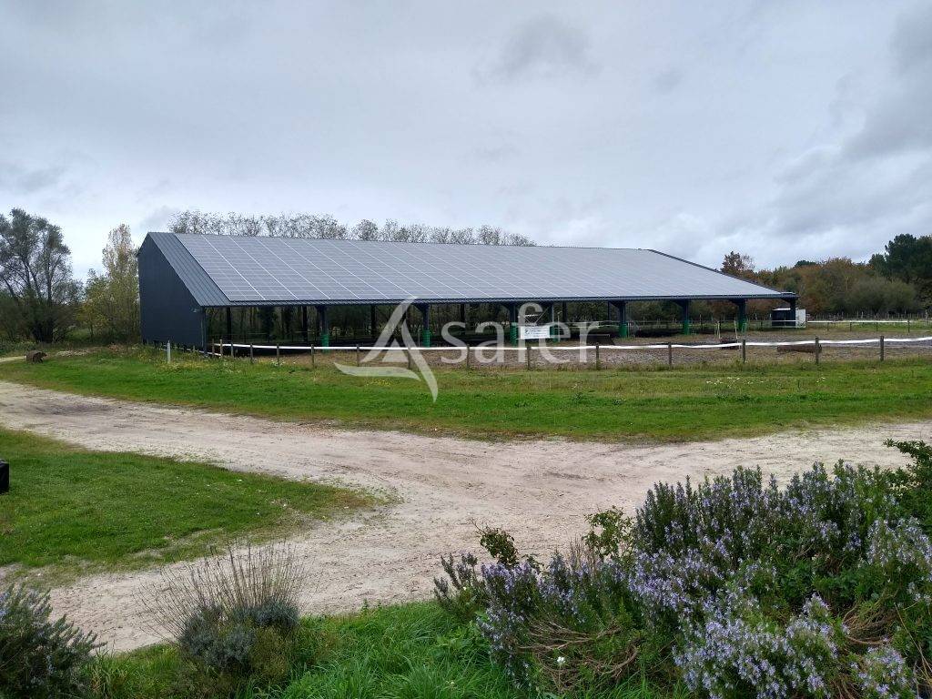 Equestrian property  Gironde