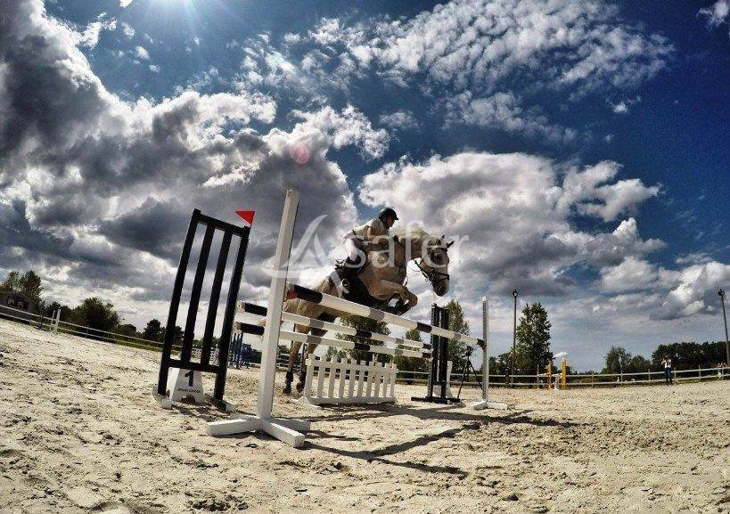 Equestrian property  Gironde