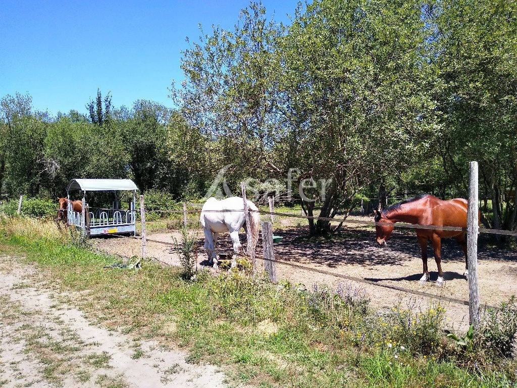 Equestrian property  Gironde