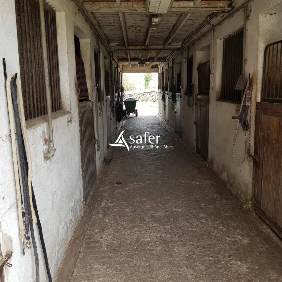 Equestrian property  Is&egrave;re