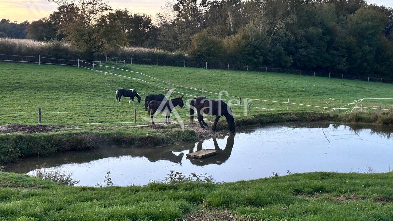 Equestrian property  Sa&ocirc;ne-et-Loire
