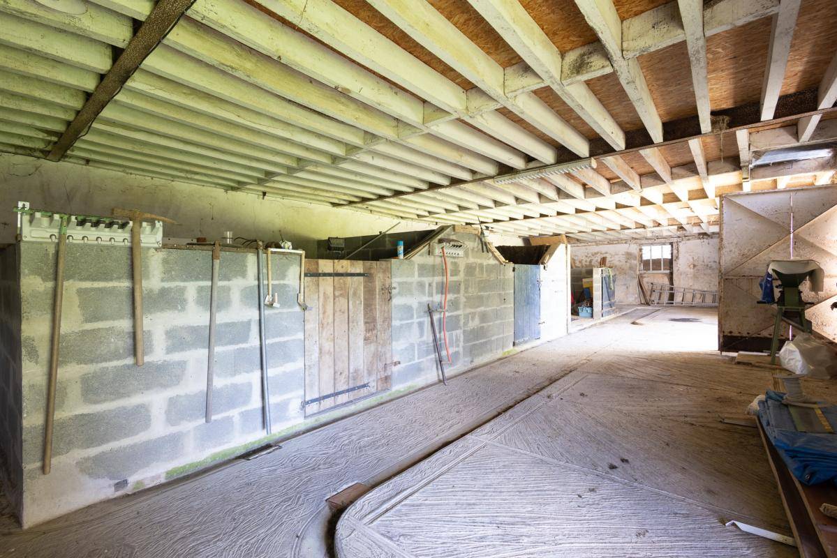 Equestrian property  Mayenne