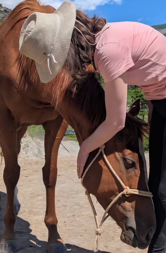 Mare Thoroughbred For sale 2020 Chesnut
