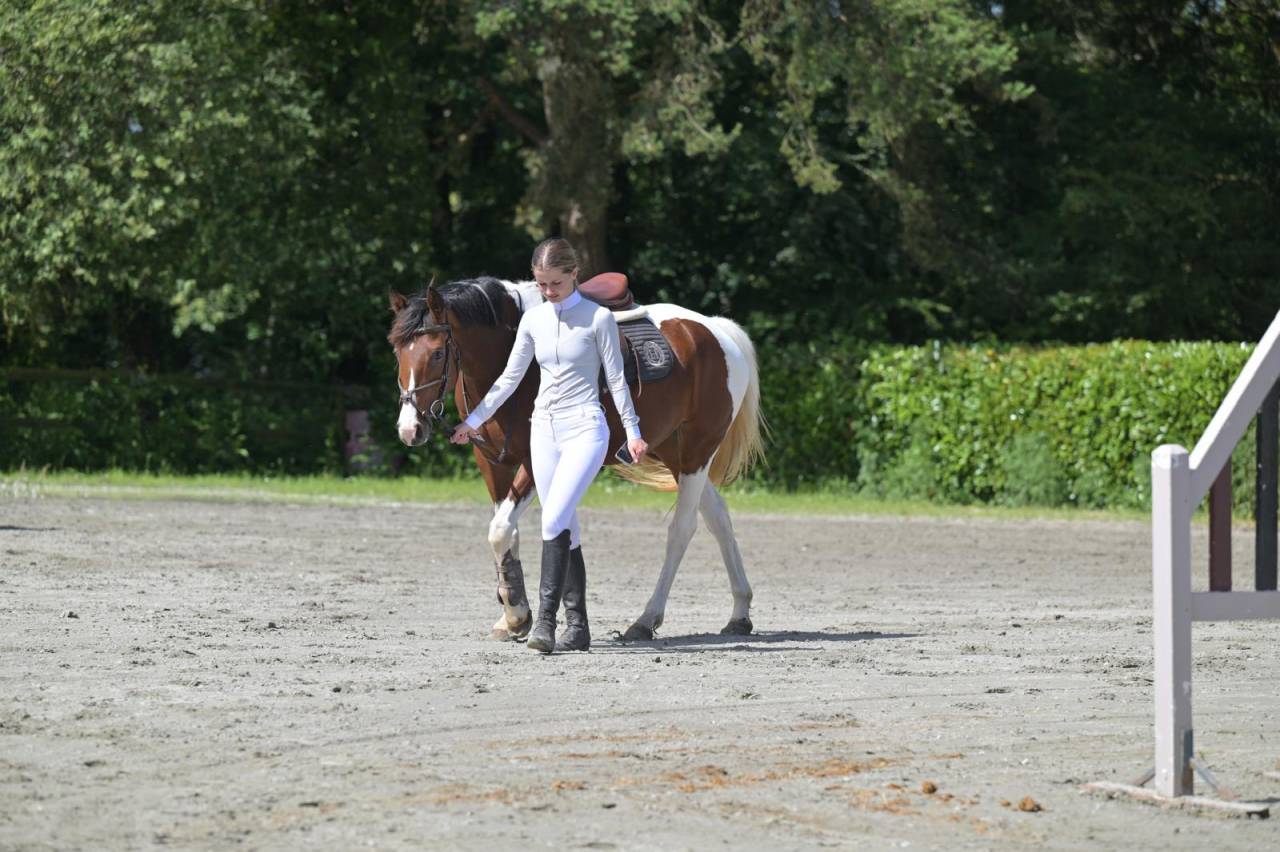 Mare Zangersheide For sale 2021 Coloured