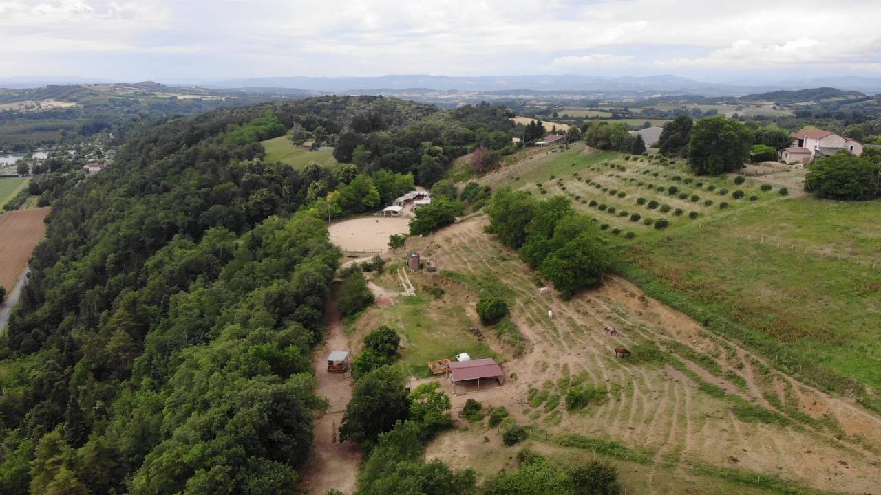 Business  Dr&ocirc;me