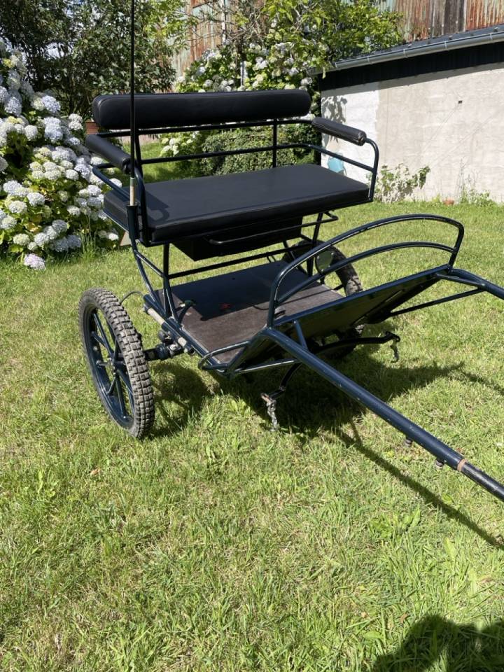 Carriage - Sulky - Other brand - Sulky Rancho M 