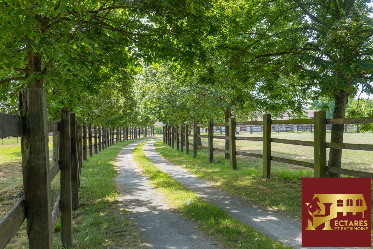 Equestrian Bed and Breakfast  Puy-de-D&ocirc;me
