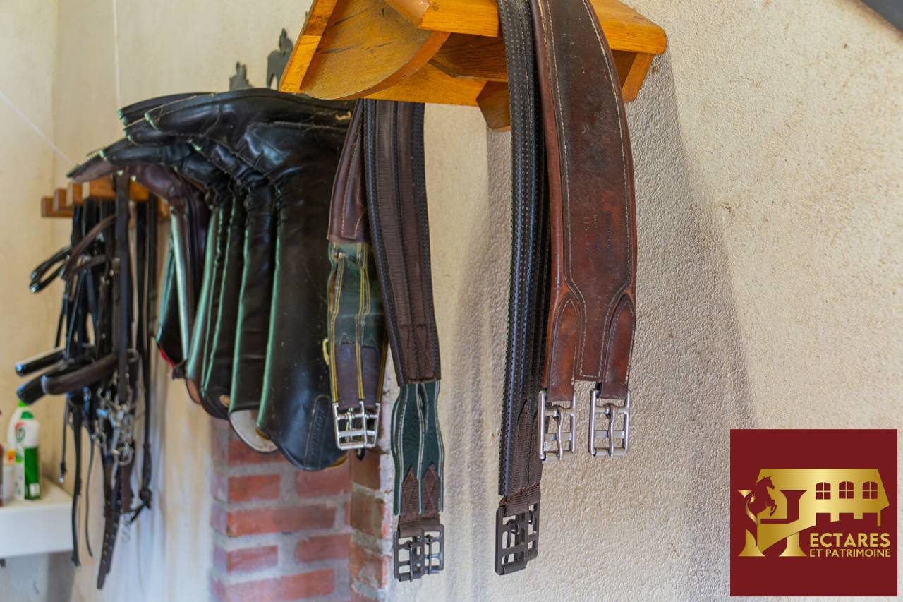 Equestrian Bed and Breakfast  Puy-de-D&ocirc;me