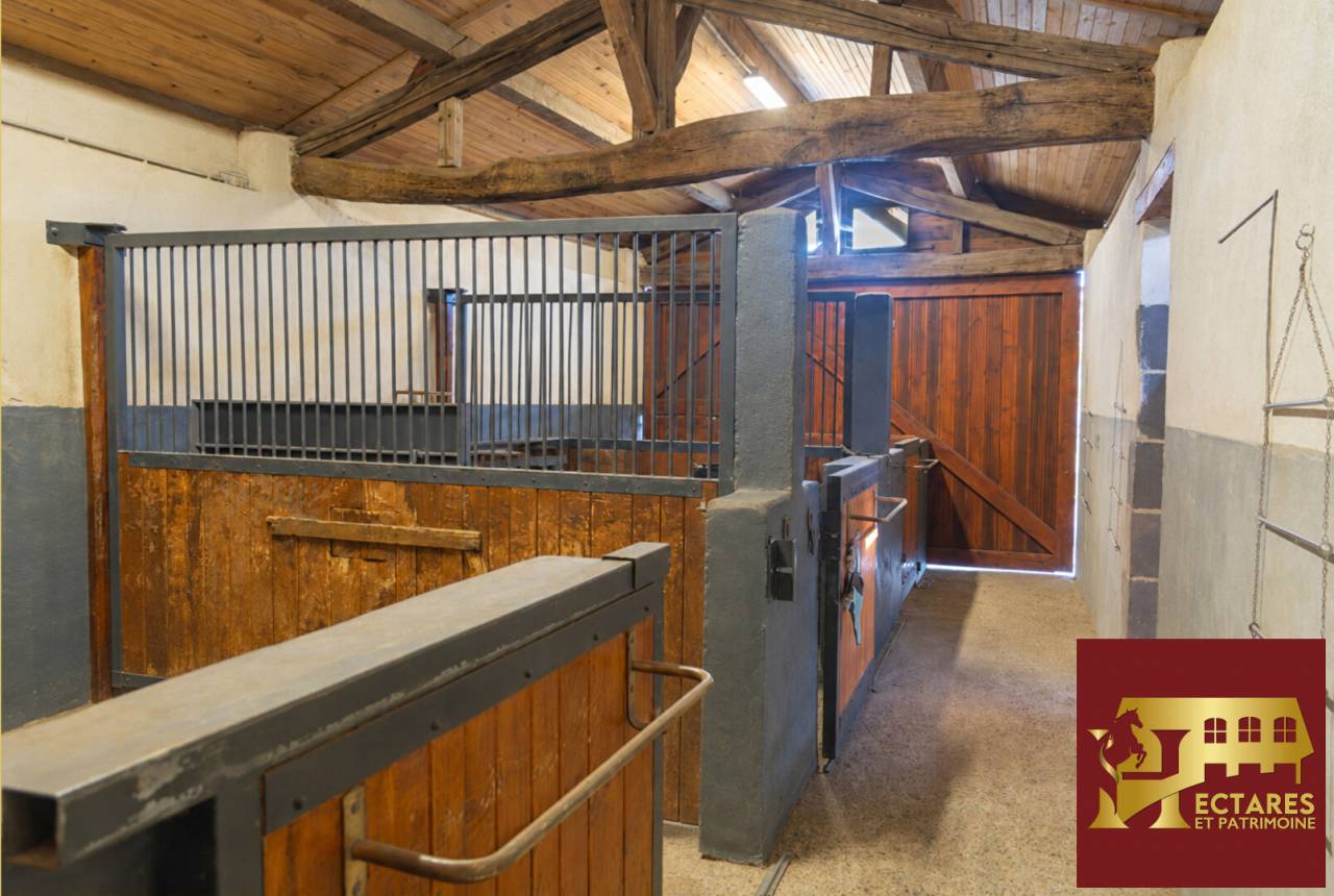 Equestrian Bed and Breakfast  Puy-de-D&ocirc;me