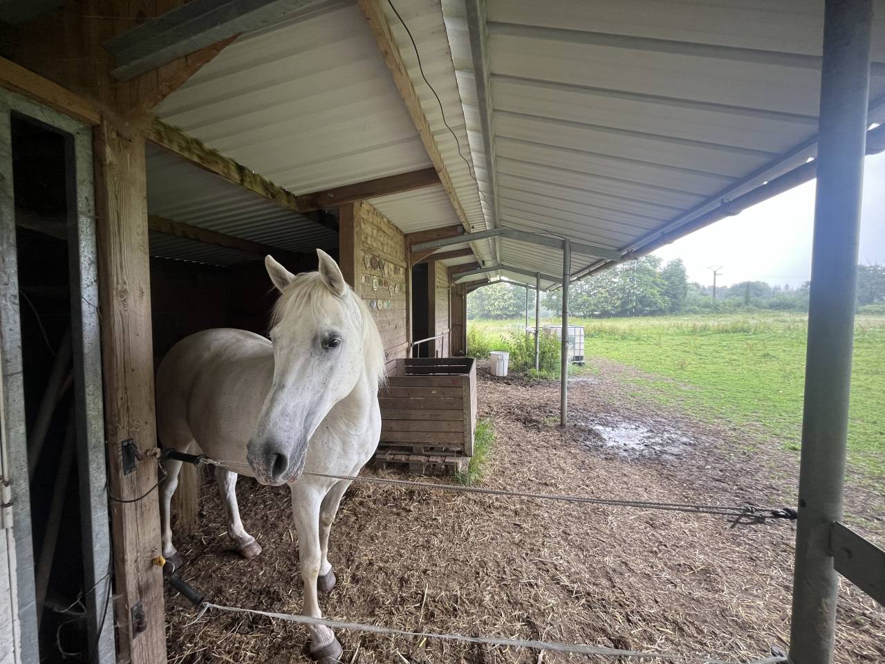 Luxurious equestrian property  Ile-et-Vilaine