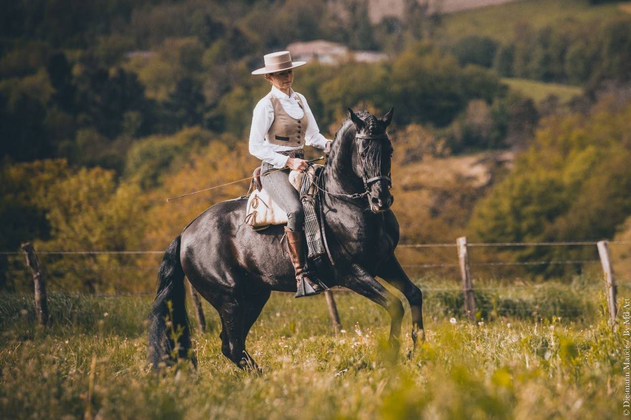 Mare PRE Pure Spanish Bred For sale 2017 Black