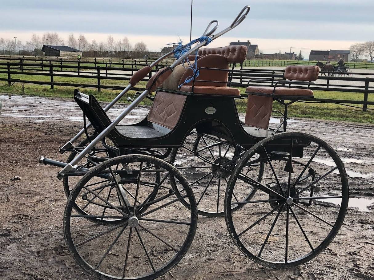Carriage - Cal&egrave;che  Rombach 