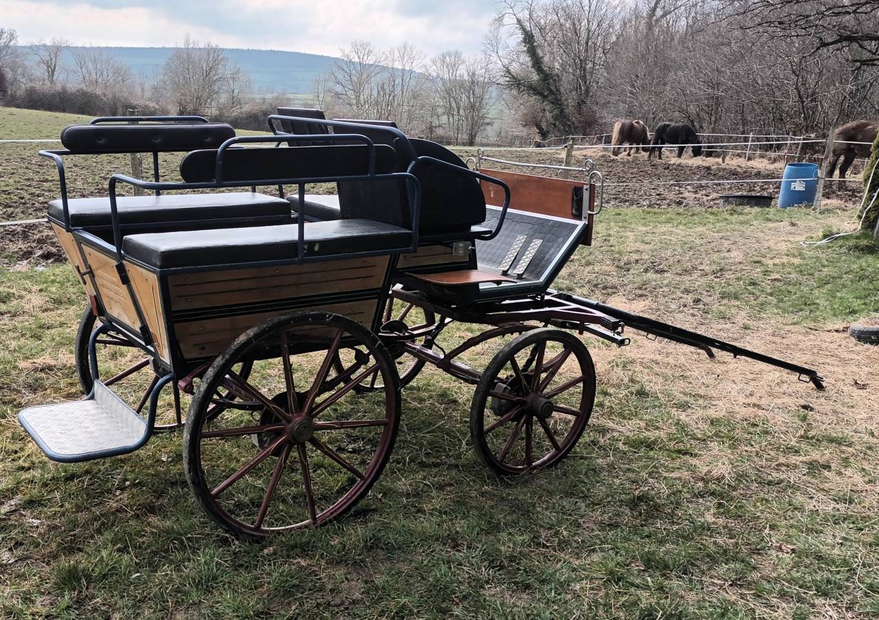 Carriage - Cal&egrave;che   