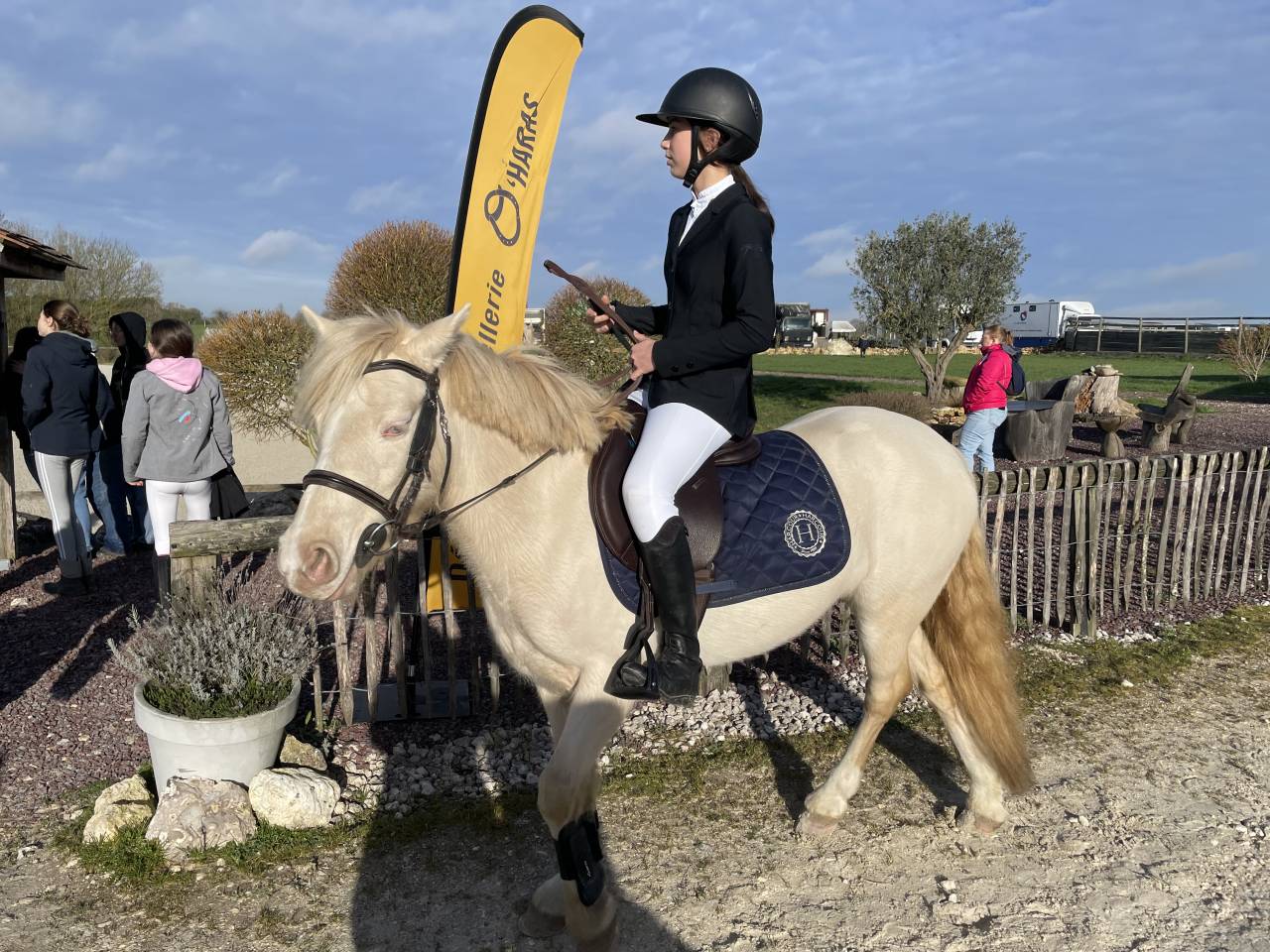 Mare No Origin Recorded For sale 2020 Cream