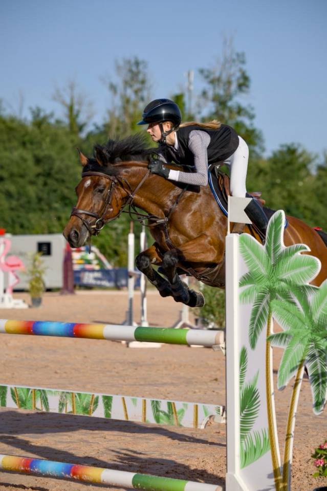 Mare French Saddle Pony For sale 2017 Bay
