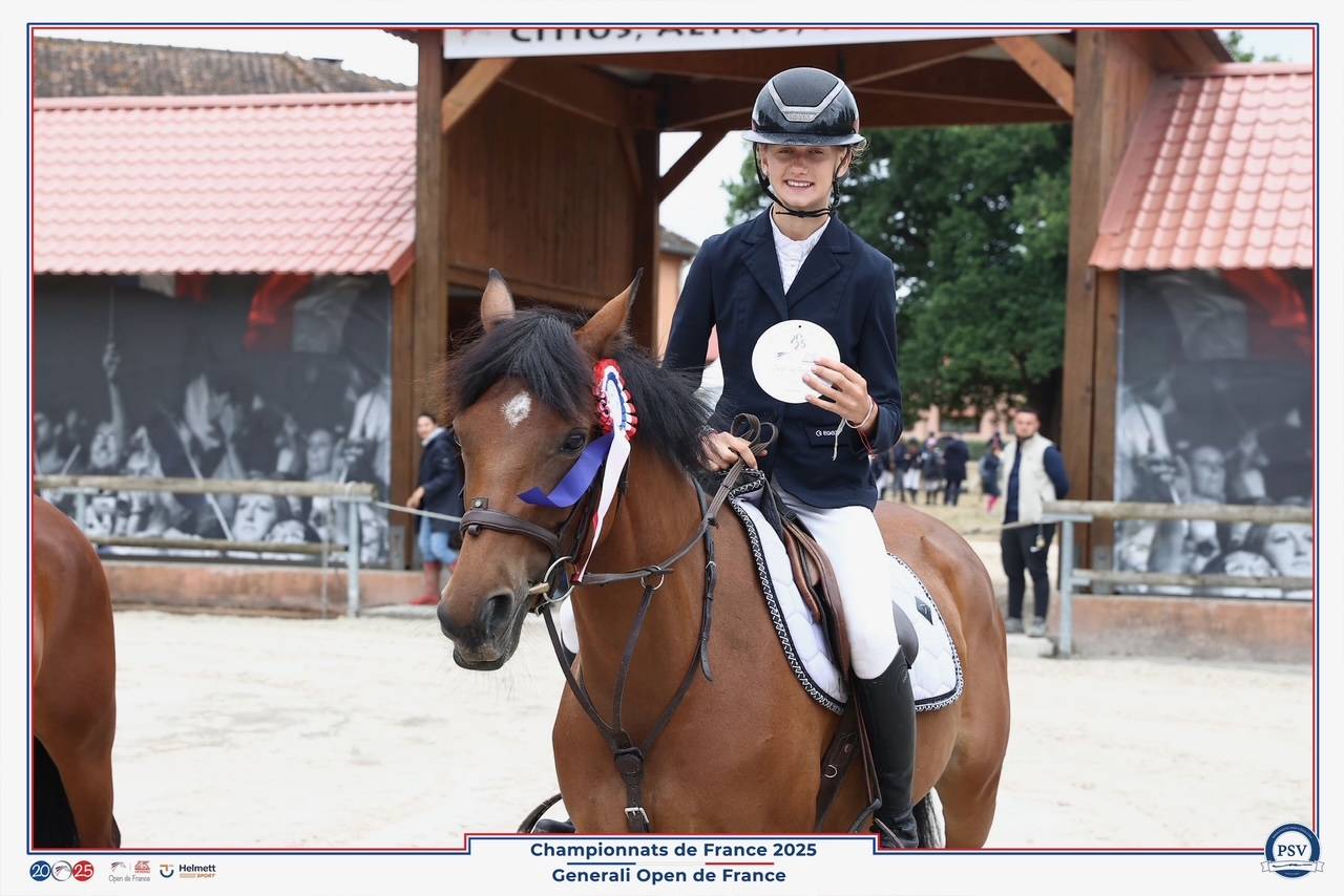 Mare French Saddle Pony For sale 2017 Bay