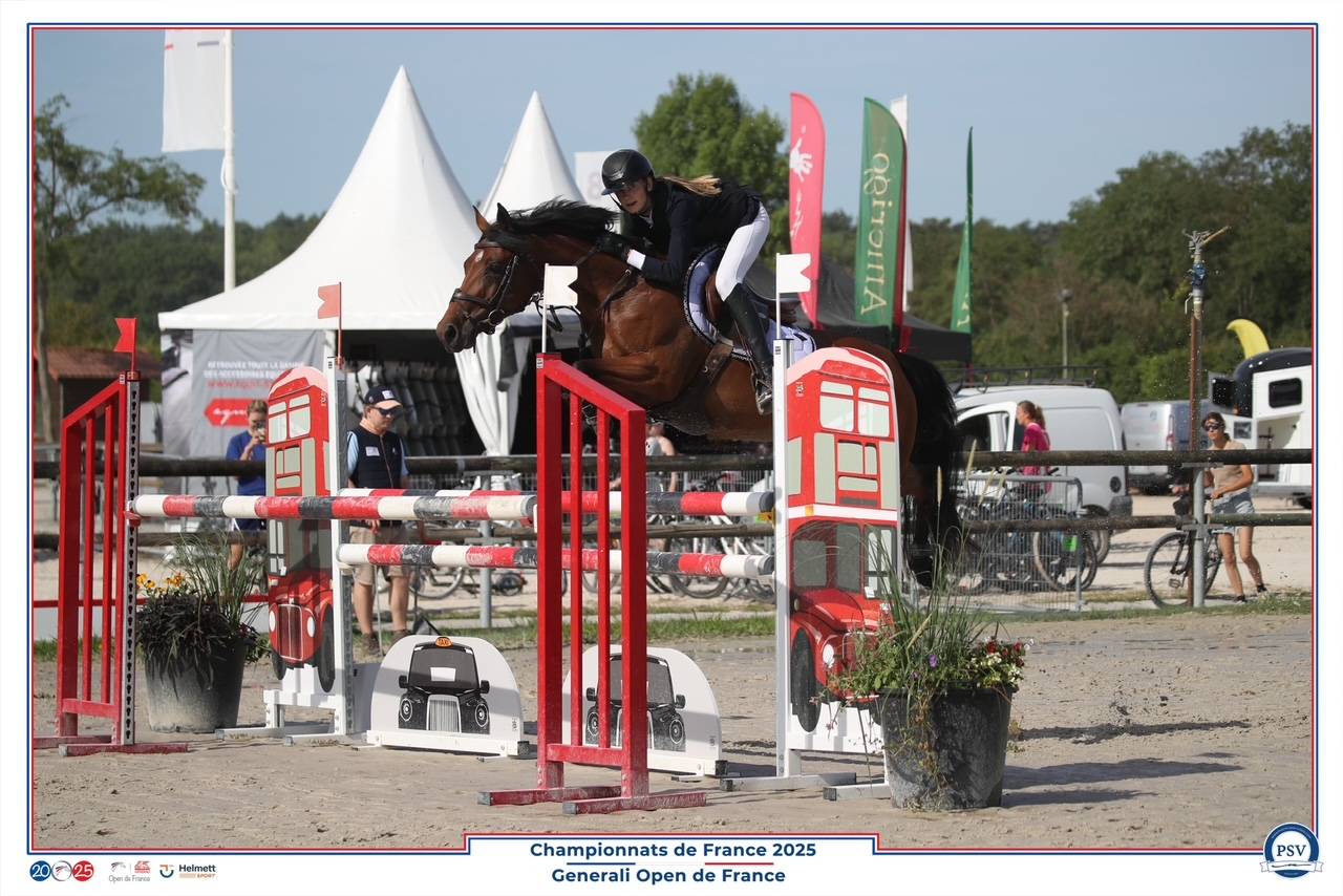 Mare French Saddle Pony For sale 2017 Bay