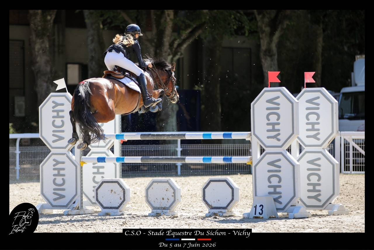 Mare French Saddle Pony For sale 2017 Bay