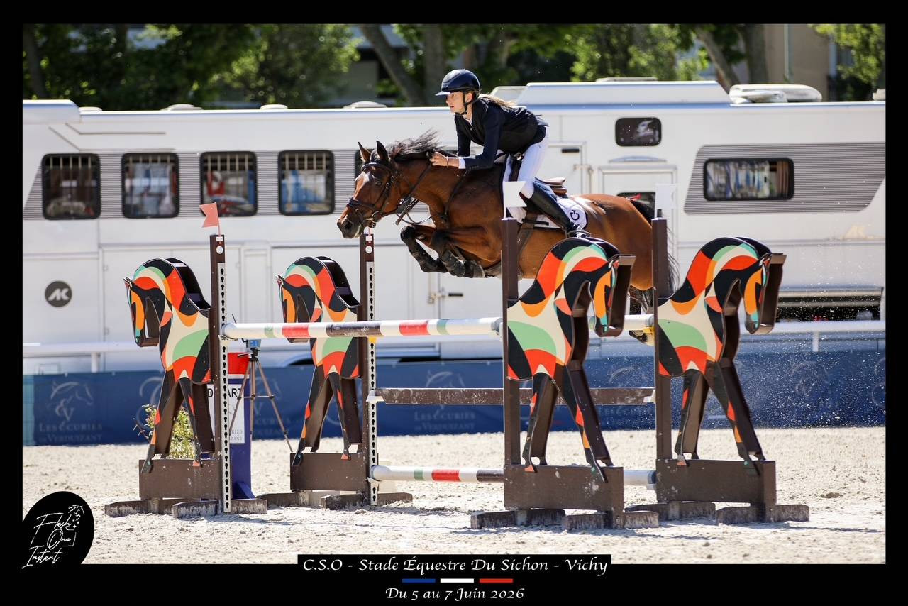 Mare French Saddle Pony For sale 2017 Bay
