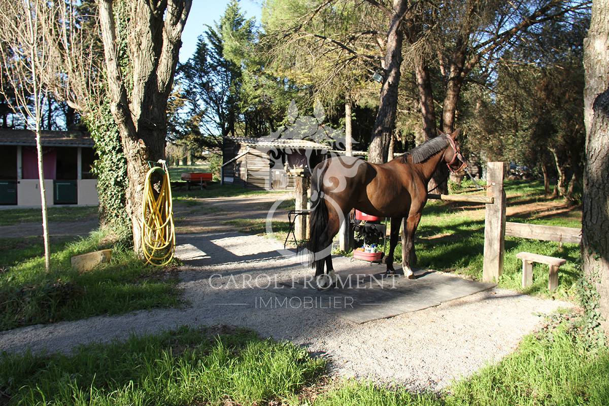Luxurious equestrian property  Gard