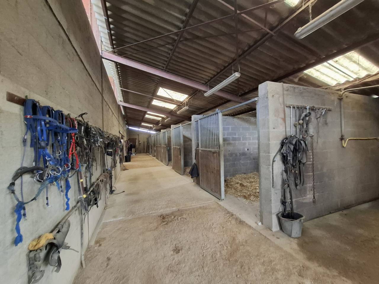 Equestrian property  Cher