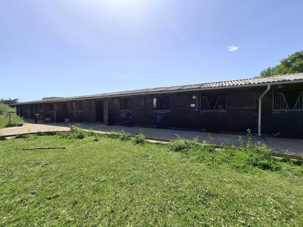 Equestrian Bed and Breakfast  Loir-et-Cher
