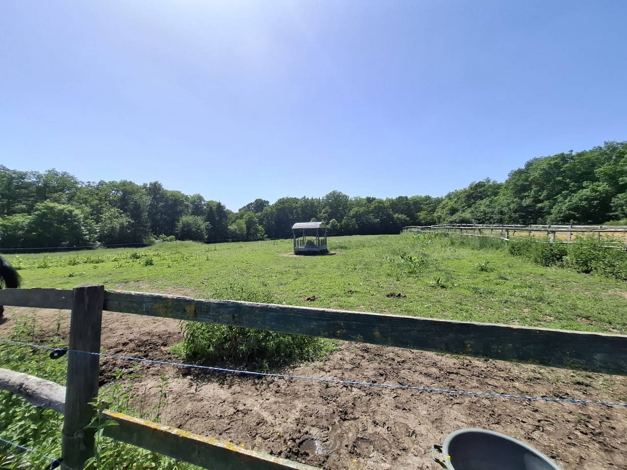 Equestrian Bed and Breakfast  Loir-et-Cher