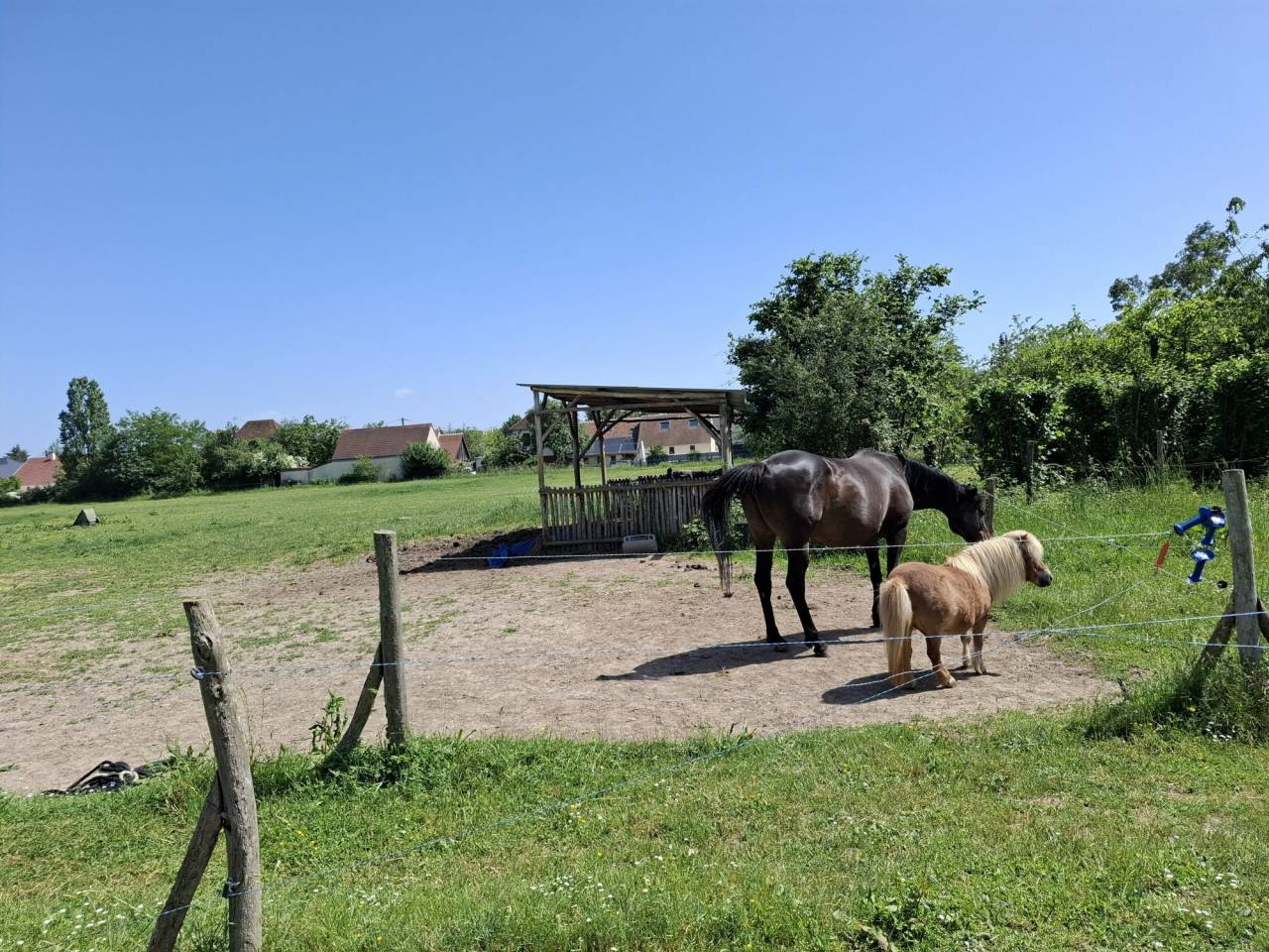 Equestrian Bed and Breakfast  Loir-et-Cher