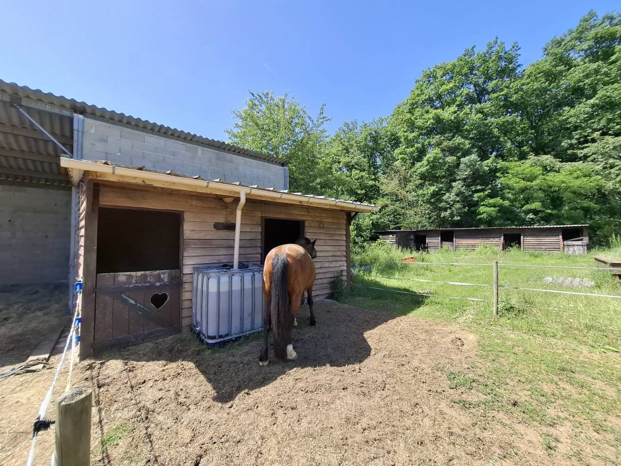 Equestrian Bed and Breakfast  Loir-et-Cher