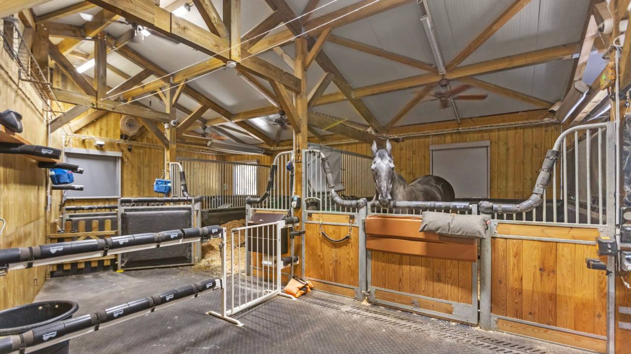 Luxurious equestrian property  Var