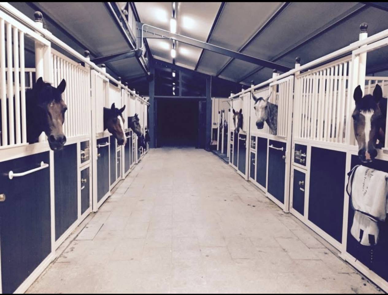 Luxurious equestrian property  Seine-et-Marne