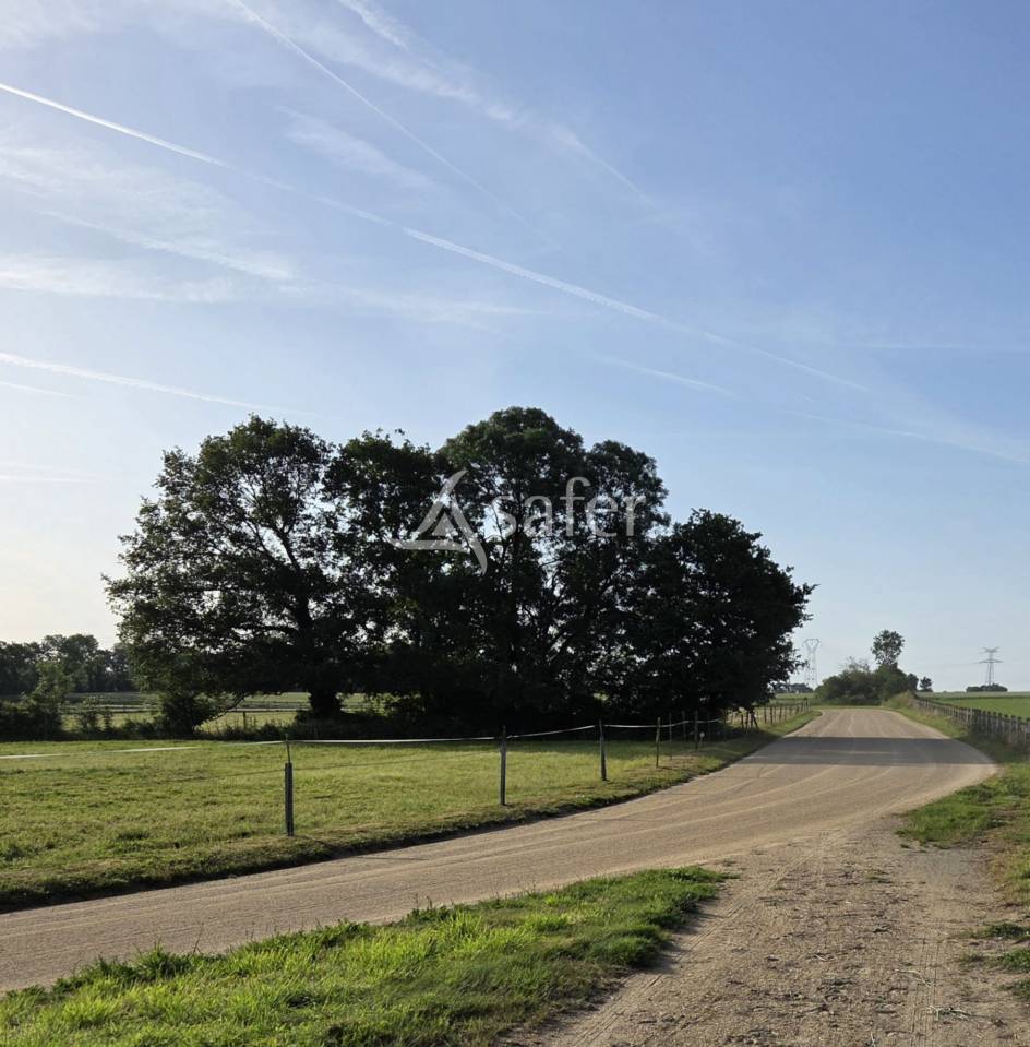 Equestrian property  Vend&eacute;e