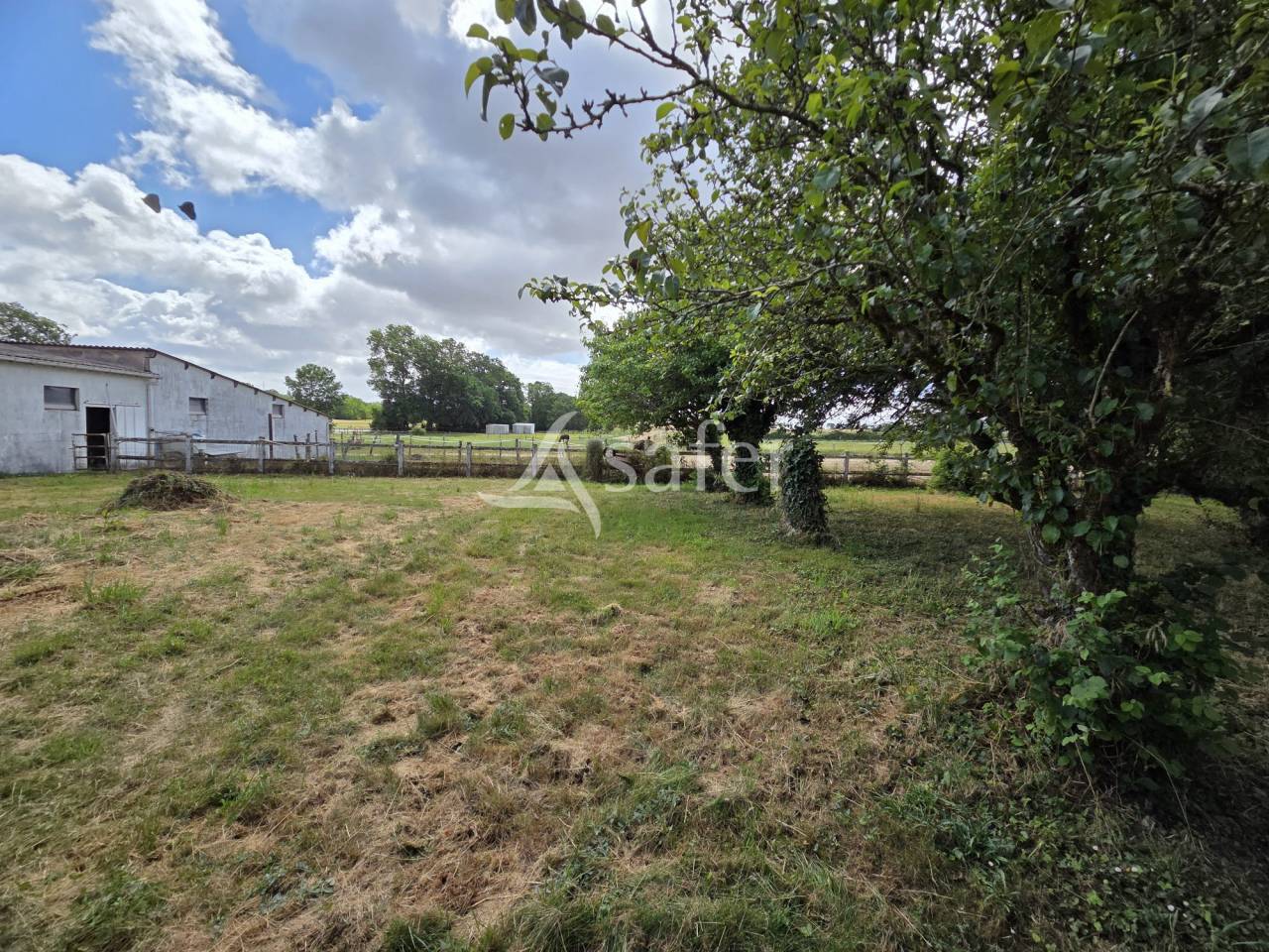 Equestrian property  Vend&eacute;e