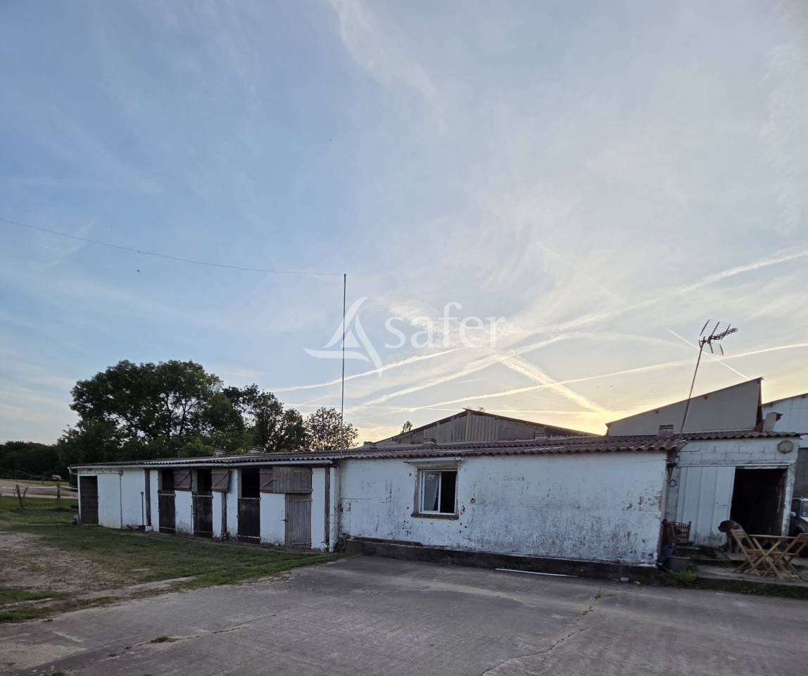Equestrian property  Vend&eacute;e