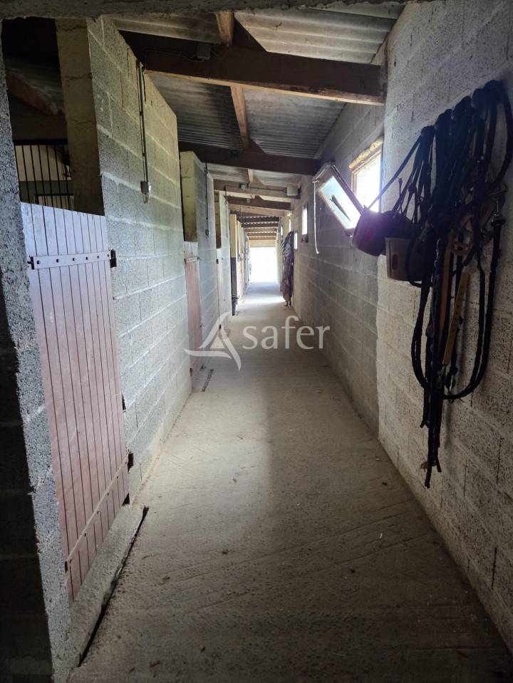 Equestrian property  Vend&eacute;e