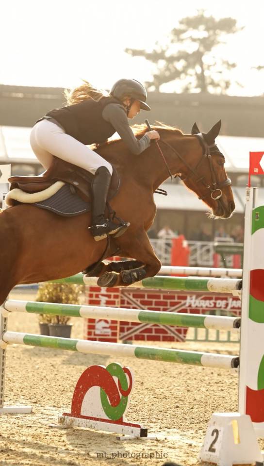 Mare Origin Recorded For loan 2011 Liver chestnut
